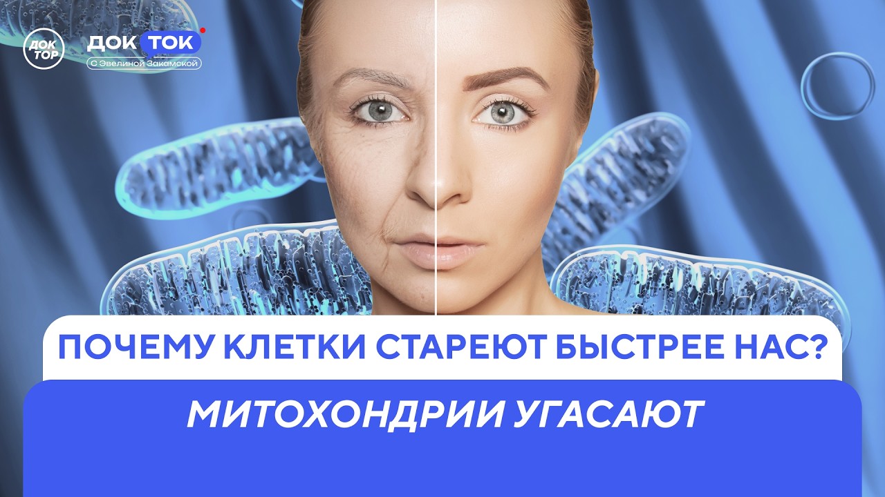 Как сон влияет на восстановление митохондрий / ДокТок с Эвелиной Закамской