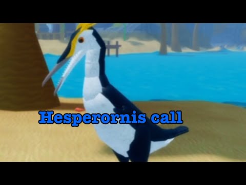 Hesperornis call