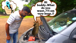 How to safe your car from rats | எலி காரில் வராமல் இருக்க? | Easy Steps