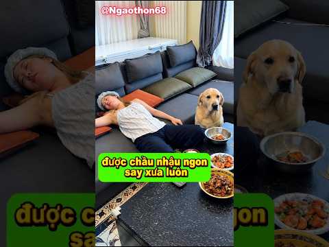 Trùm ăn vạ gọi tên Boss Tiểu Bạch! Cười đau bụng 😂
