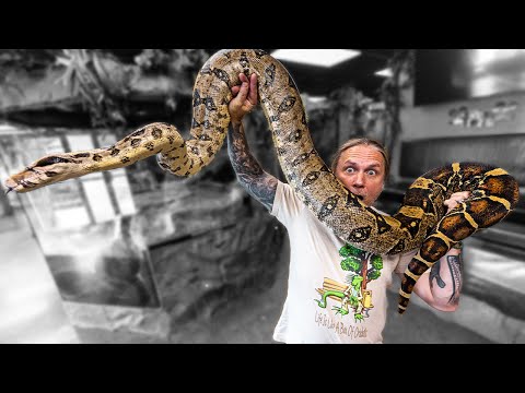 ALL MY BOAS IN ONE VIDEO!! | BRIAN BARCZYK