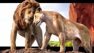 THE LION KING 3D Experience Trailer (2019)