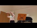 S Prokofiev Peter And The Wolf Flute Excerpt
