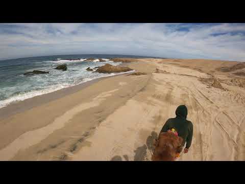 Camel Riding in Cabo