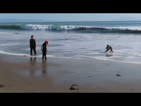 Santa Cruz Beach | USA | California |Telugu |                                    #shorts