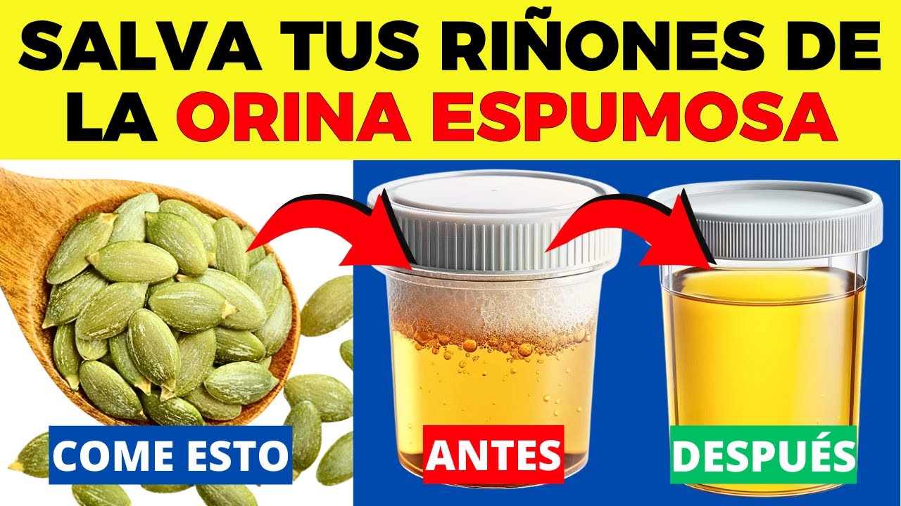 ESTE es EL MEJOR ALIMENTO para BAJAR la Proteinuria y Curar los Riñones Rápidamente