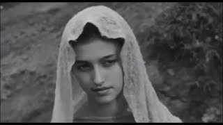 Coil - Ostia • The Death of Pasolini ✵ (𝘓𝘪𝘷𝘦 𝘍𝘰𝘶𝘳)