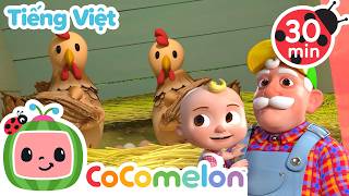 Ông MacDonald | Bài hát dành cho trẻ em | CoComelon Lồng tiếng việt - Karaoke dành cho trẻ em