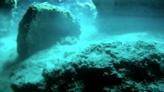 preview picture of video 'Inmersión en el Cenote Manatí - Playa del Carmen, Ferbero 2013 HD'
