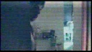 captain beefheart  new video (re laga)