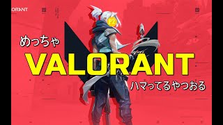 【VALORANT】めっちゃVALORANTハマってるやつおんねんｗｗｗ【初心者】