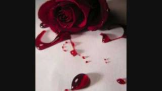 The Thorn upon the Rose