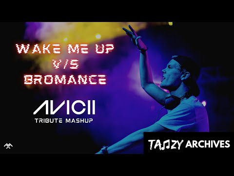 Avicii - Wake Me Up vs. Bromance (TANZY Mashup) | TANZY Archives #01