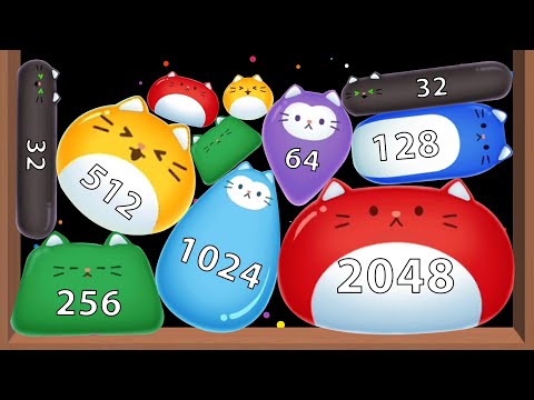 Stray Cat Falling - Jelly 2048 (Cat Merge) Watermelon Cat: Suika Puzzle, Android Gameplay ASMR Slime