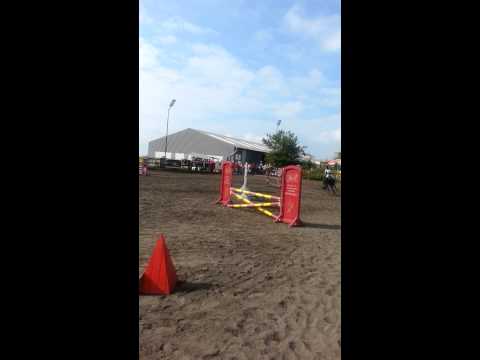 Obstacles du complet au jonckeu,Romane et Ipswitch