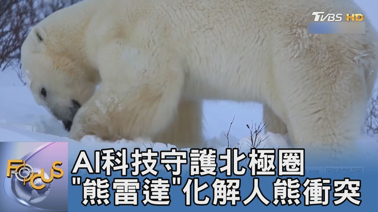AI科技守護北極圈 "熊雷達"化解人熊衝突