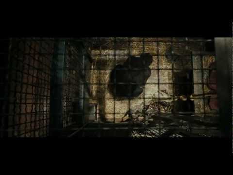 Rise of the Planet of the Apes ('Super' Trailer)