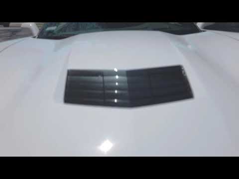 T -Rulah - Sucka Free