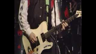 SLF are Still Burning