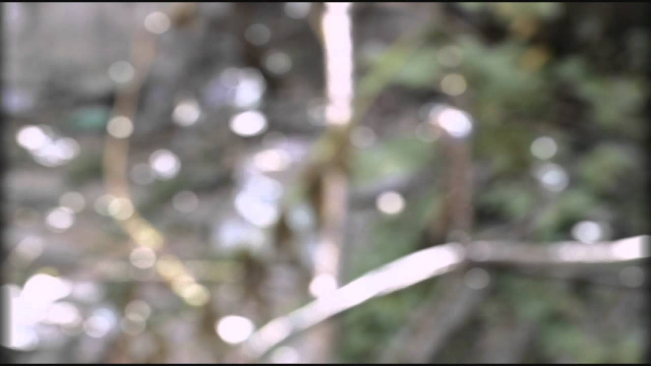 YouTube Video Preview