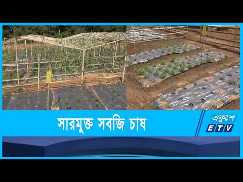 আশ্রায়ন প্রকল্প এলাকায় পারিবারিক পুষ্টি বাগান