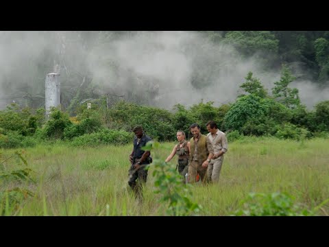 Filming in the Wild