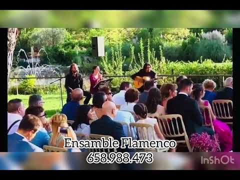 Ceremonia Civil Ensamble Flamenco