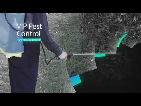 VIP Pest Control: Your Guardian Against Unwanted Invaders