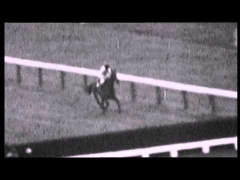 Arkle The  Greatest Steeplechaser Part 11