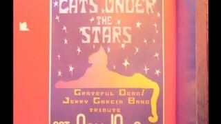 CATS UNDER THE STARS - NOV 10 2012 - LaurelThirst Public House - G.G. TV PT 4