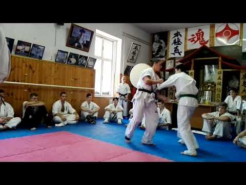 Ionut Arghir - Stagiu Ungaria - Szentes 2016 - Examen de centura