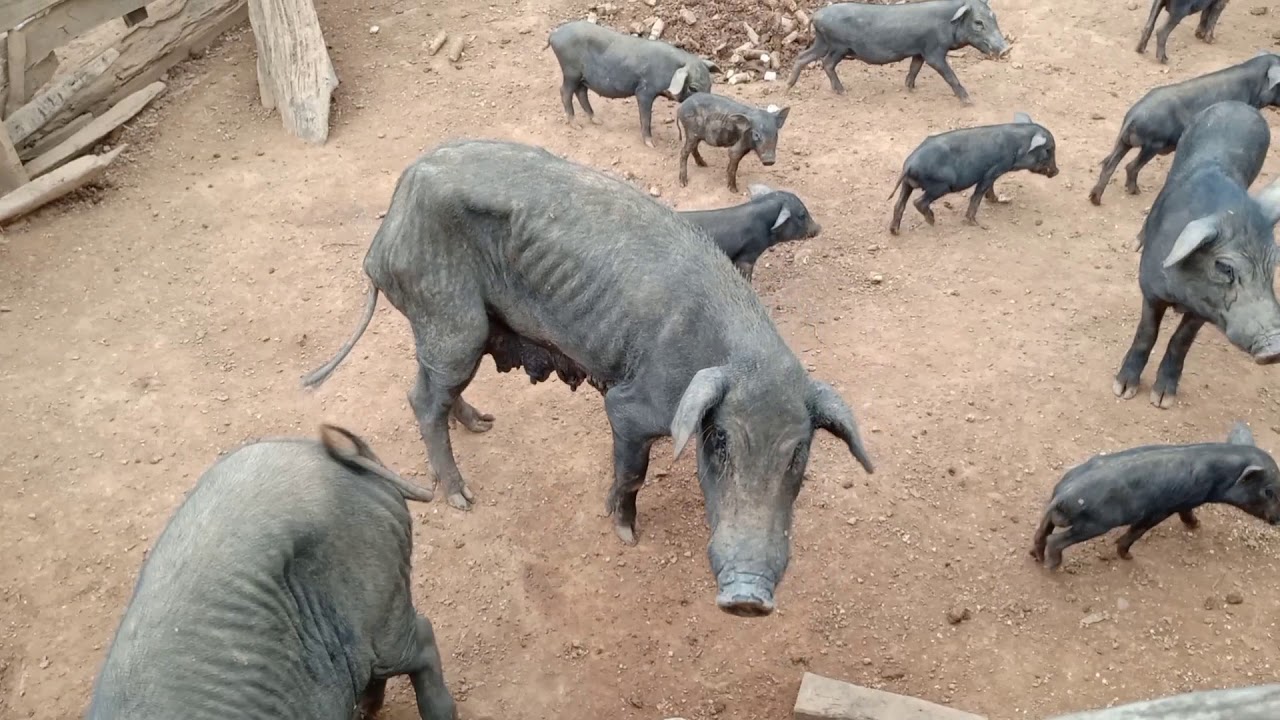 Ban Bo Krai