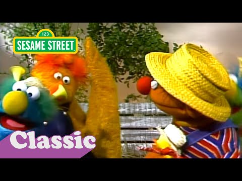 Ernie and the Honker Ducky Dinger Jamboree Song | Sesame Street Classic