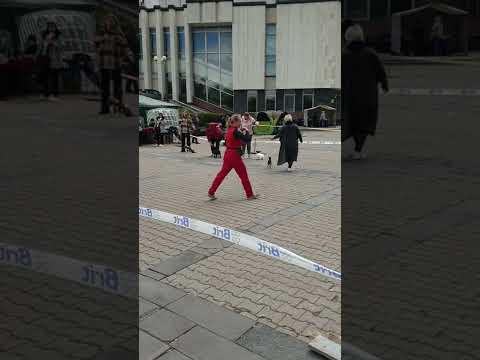 BLESK FORTUNI ORIGAMI, 3 months old