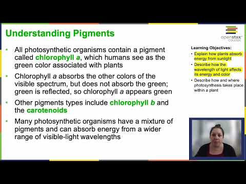 OpenStax Concepts of Biology Chapter 5.2