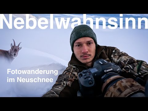 Fotowanderung im Neuschnee: Vögel, Gams & Steinwild - Manuel und der totale Nebelwahnsinn
