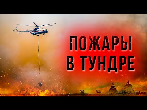 Как тушат лесные пожары на Ямале | Факты