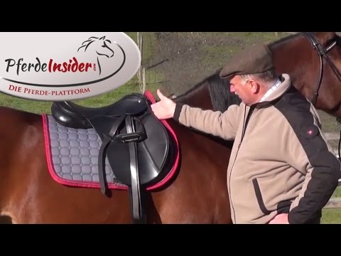 Criteria to check the saddle fit