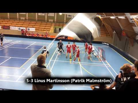 Highlights Falköpings IBK - IBK Vänersborg 131207