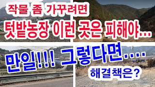작물 좀 가꾸려면 텃밭농장 이런 곳은 피해야 -만일 그렇다면 해결책은? (텃밭농장 조건, 텃밭농장 조건, 일…