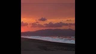 Wovenhand-Story and the pictures