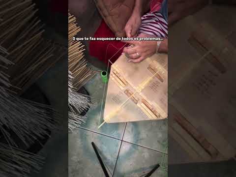 ❤️🪁#shorts #pipa