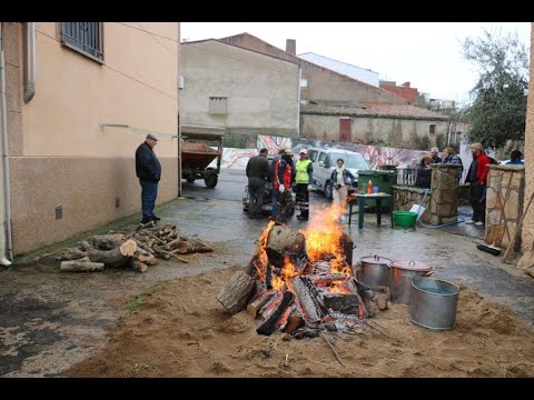 Matanza Tradicional en Saucelle bajo la lluvia
