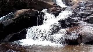 preview picture of video 'Kanneliya Rainforest Beautiful Waterfall - Anagimala Ella'