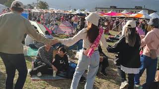 Download the video "20201031富里穀稻秋聲"