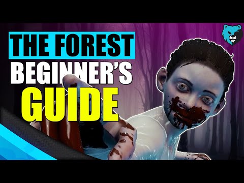 The Forest Beginner's Guide in 7 Minutes - 2020 Tips and Tricks