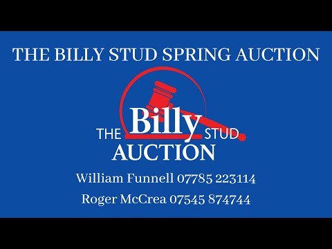 William introduces the auction horses