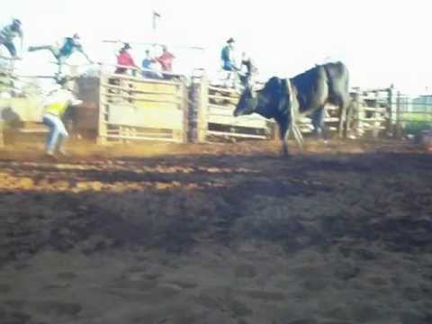 Fabricio vs samurai rodeio de trindade