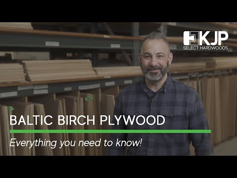 Baltic Birch Plywood