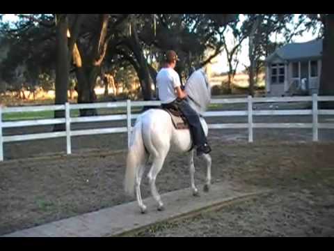 Prometido De Selecta Feb 2009